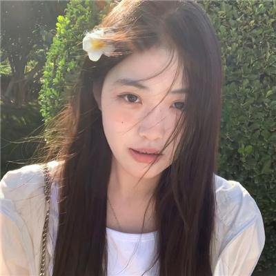 山菊花